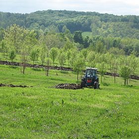 Copyright Red Oak Nurseries, Inc.